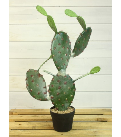 Cactus opuntia artificiel