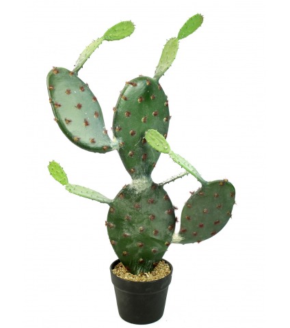 Cactus opuntia artificiel