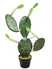 Cactus opuntia artificiel