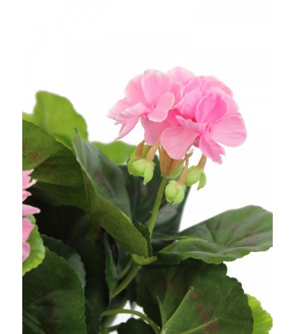 Grand géranium artificiel rose