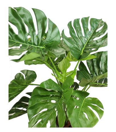 Philodendron artificiel monstera
