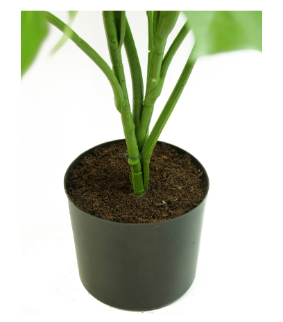 Pot