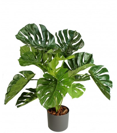 Philodendron artificiel monstera