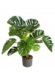 Philodendron artificiel monstera
