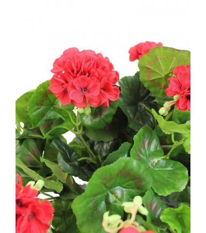 Grand géranium artificiel rouge