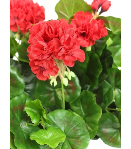 Grand géranium artificiel rouge