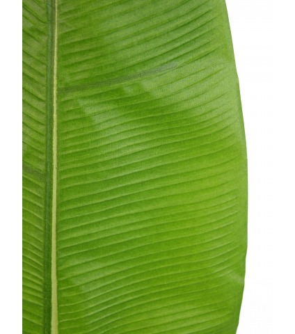 Feuille de bananier artificielle