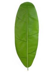 Feuille de bananier artificielle