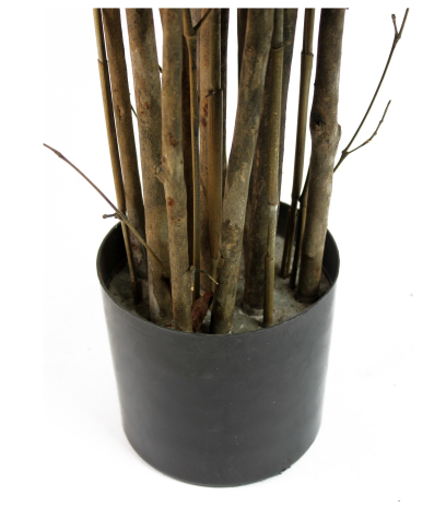 Pot