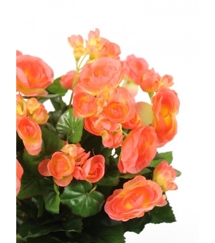 Bégonia artificiel pêche