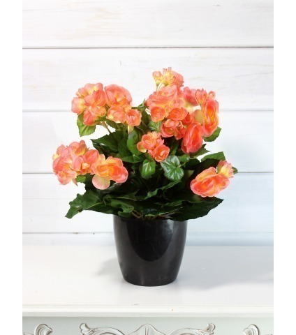 Bégonia artificiel pêche