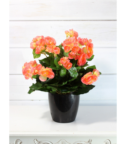 Bégonia artificiel pêche