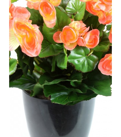 Bégonia artificiel pêche