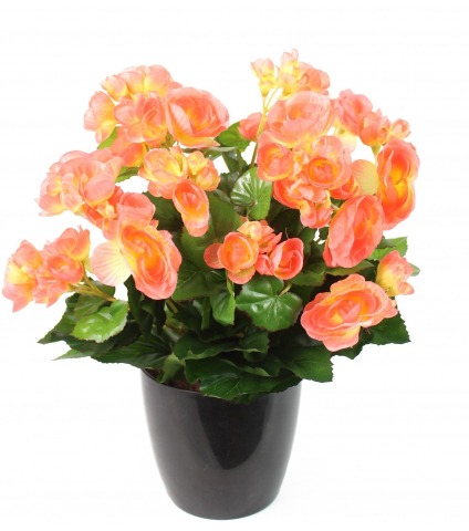 Bégonia artificiel pêche