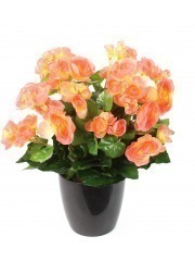 Bégonia artificiel pêche