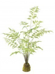 Fougère artificielle pot déco résine