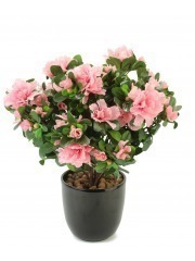 Azalée artificielle rose