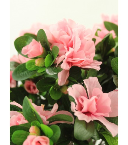 Azalée artificielle rose