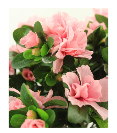 Azalée artificielle rose