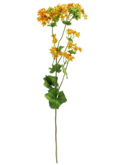 Alchemille artificielle