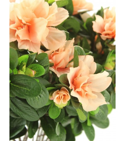 Azalée artificielle saumon