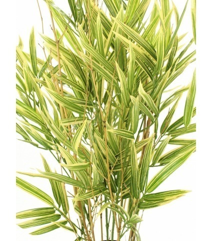 Bambou artificiel shiroshima