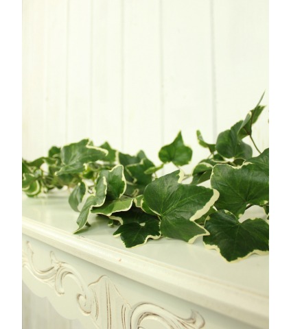 Liane de lierre artificielle