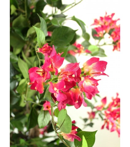 Bougainvillier rose artificiel
