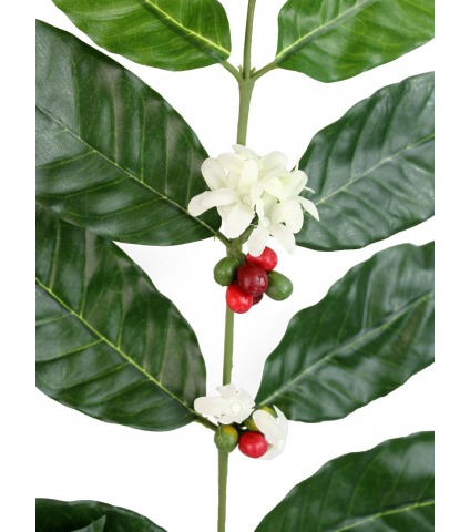 Feuillage de caféier artificielle