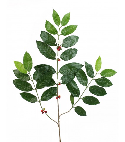 Feuillage de caféier artificielle