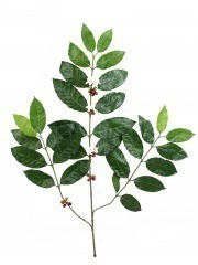 Feuillage de caféier artificielle