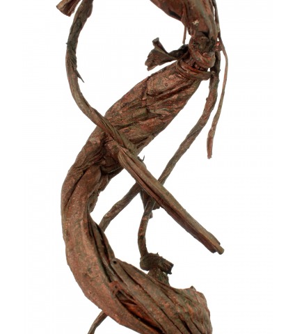 Branche tortueuse déco