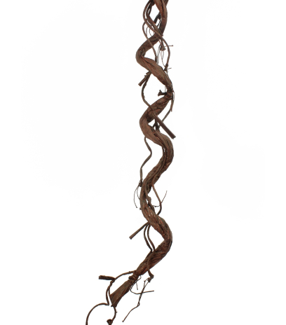 Branche tortueuse déco