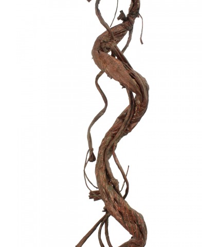 Branche tortueuse déco