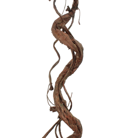 Branche tortueuse déco
