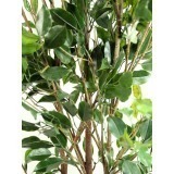 Ficus buisson artificiel