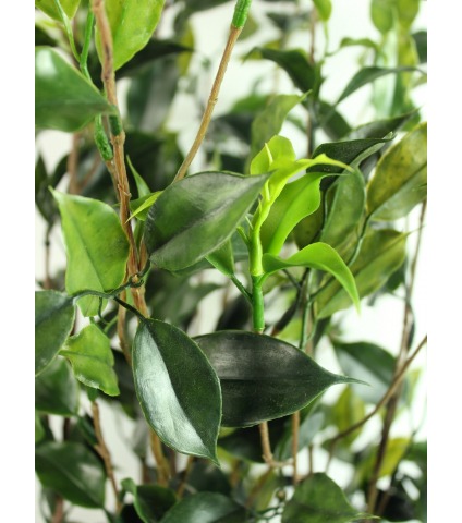 Ficus buisson artificiel