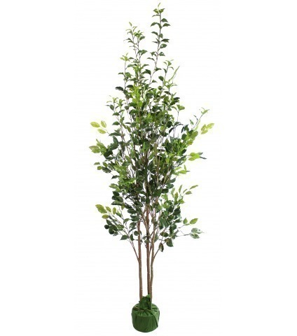 Ficus buisson artificiel
