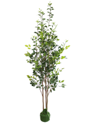 Ficus buisson artificiel