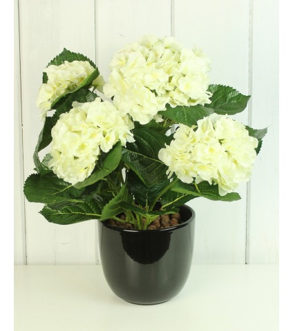 Hortensia artificiel blanc
