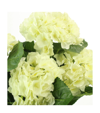 Hortensia artificiel blanc