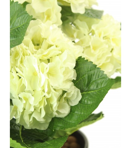 Hortensia artificiel blanc