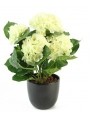 Hortensia artificiel blanc