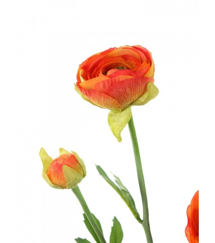 Renoncule artificielle orange