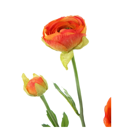 Renoncule artificielle orange