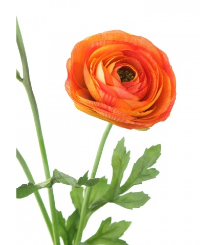 Renoncule artificielle orange