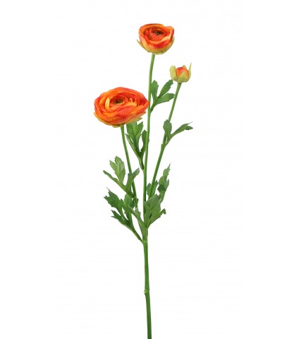 Renoncule artificielle orange