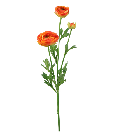 Renoncule artificielle orange