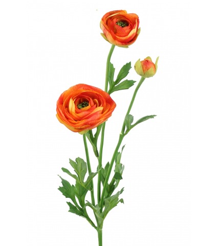 Renoncule artificielle orange