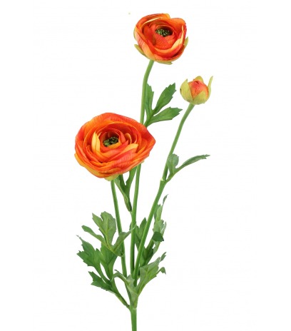 Renoncule artificielle orange